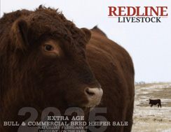 2025 CATALOGUE