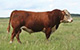 NJW 73S 22Z MIGHTY MAX 69B ET