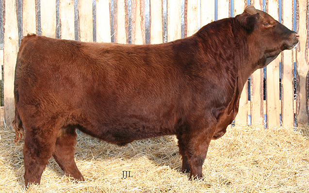 RED JJL BIG DEAL 58Z