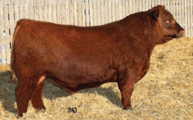 Red LWNBRG Harvestor 103C
